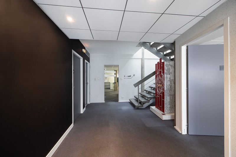 entreprise à vendre - 900.0 m2 - ALBI - 81 - MIDI-PYRENEES - Century 21 Plein Sud