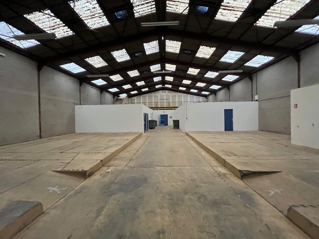 entreprise à louer - 600.0 m2 - ALBI - 81 - MIDI-PYRENEES - Century 21 Plein Sud