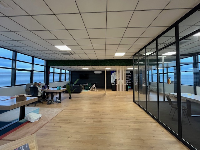 entreprise à louer - 2150.0 m2 - ALBI - 81 - MIDI-PYRENEES - Century 21 Plein Sud