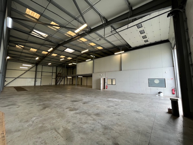 entreprise à louer - 1065.0 m2 - AMBRES - 81 - MIDI-PYRENEES - Century 21 Plein Sud