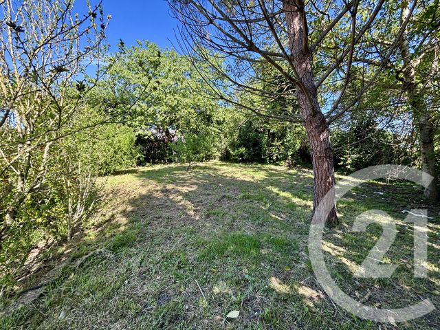 maison à vendre - 6 pièces - 164.25 m2 - LE GARRIC - 81 - MIDI-PYRENEES - Century 21 Plein Sud