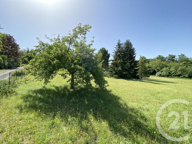 Afficher la photo en grand terrain à vendre - 1250.0 m2 - ALBI - 81 - MIDI-PYRENEES - Century 21 Plein Sud