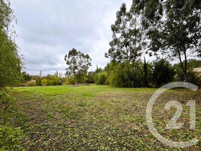 terrain à vendre - 1005.0 m2 - ST SULPICE LA POINTE - 81 - MIDI-PYRENEES - Century 21 Plein Sud