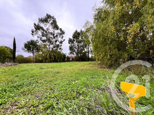 Terrain à vendre ST SULPICE LA POINTE