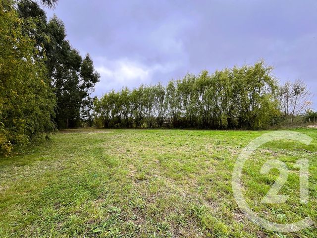 terrain à vendre - 1005.0 m2 - ST SULPICE LA POINTE - 81 - MIDI-PYRENEES - Century 21 Plein Sud
