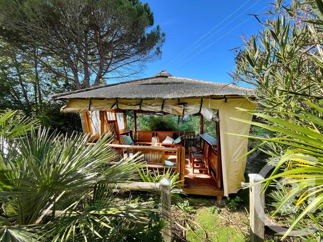 maison à vendre - 12 pièces - 450.0 m2 - CADALEN - 81 - MIDI-PYRENEES - Century 21 Plein Sud