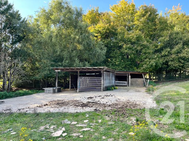 maison à vendre - 12 pièces - 450.0 m2 - CADALEN - 81 - MIDI-PYRENEES - Century 21 Plein Sud