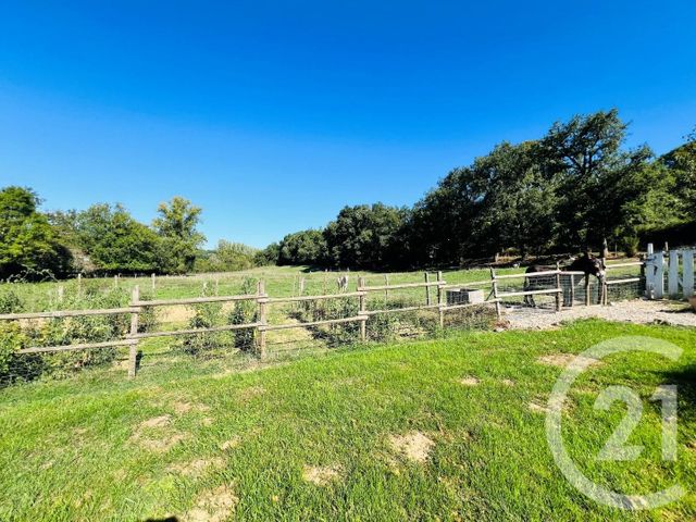 maison à vendre - 6 pièces - 210.0 m2 - REALMONT - 81 - MIDI-PYRENEES - Century 21 Plein Sud