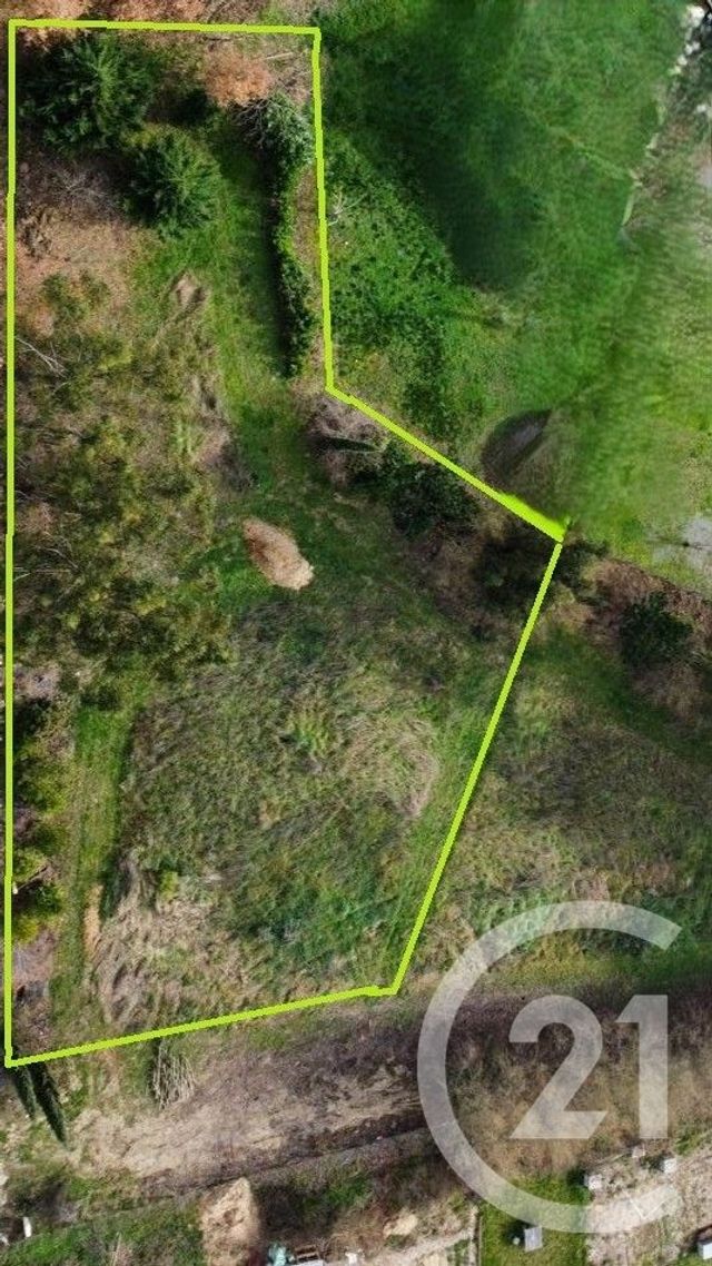 terrain à vendre - 1004.0 m2 - ST SULPICE LA POINTE - 81 - MIDI-PYRENEES - Century 21 Plein Sud