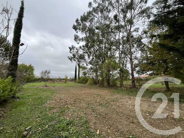 terrain à vendre - 1004.0 m2 - ST SULPICE LA POINTE - 81 - MIDI-PYRENEES - Century 21 Plein Sud