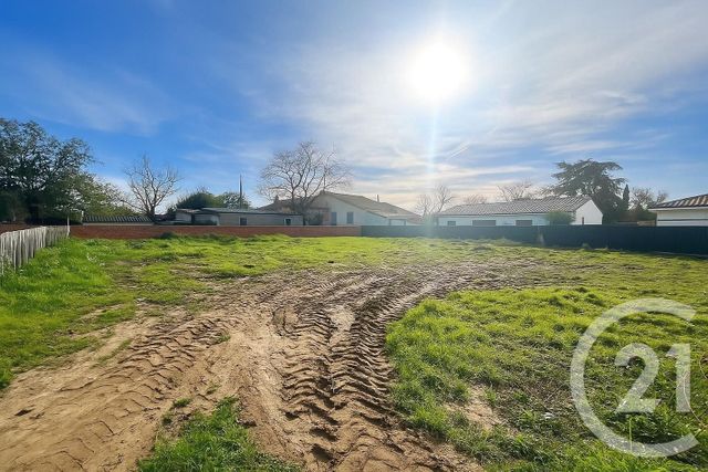 terrain à vendre - 784.0 m2 - FLORENTIN - 81 - MIDI-PYRENEES - Century 21 Plein Sud