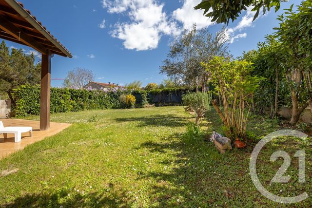 maison à vendre - 5 pièces - 115.62 m2 - ALBI - 81 - MIDI-PYRENEES - Century 21 Plein Sud