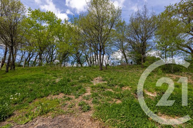 maison à vendre - 4 pièces - 90.51 m2 - CARMAUX - 81 - MIDI-PYRENEES - Century 21 Plein Sud