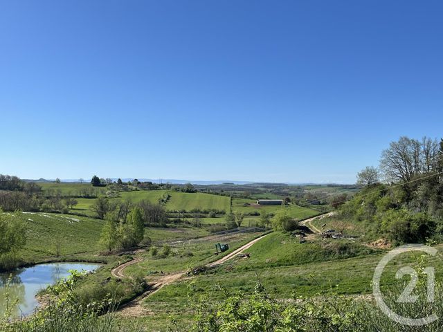 maison à vendre - 5 pièces - 137.27 m2 - PUYGOUZON - 81 - MIDI-PYRENEES - Century 21 Plein Sud