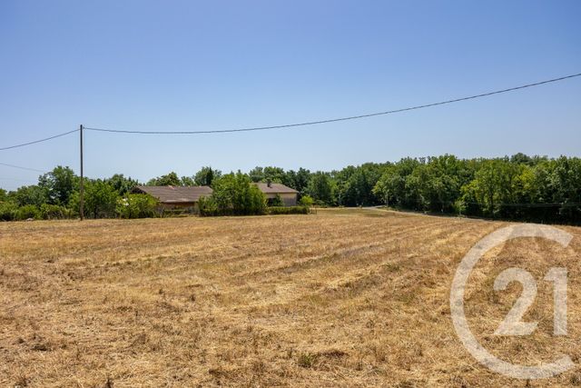 maison à vendre - 4 pièces - 113.6 m2 - GAILLAC - 81 - MIDI-PYRENEES - Century 21 Plein Sud