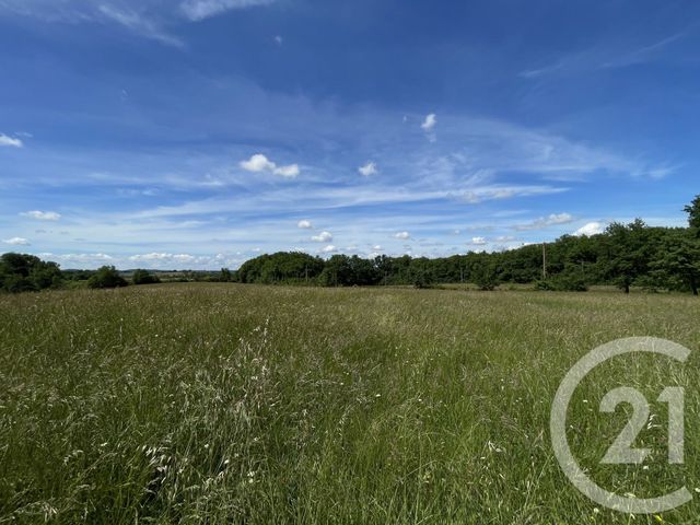 maison à vendre - 6 pièces - 353.99 m2 - DENAT - 81 - MIDI-PYRENEES - Century 21 Plein Sud