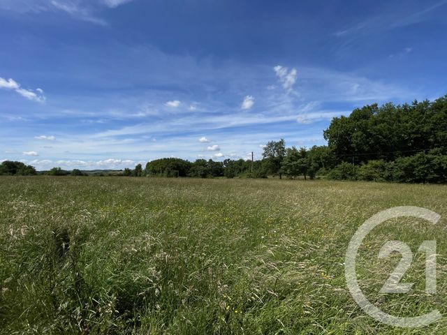 maison à vendre - 6 pièces - 353.99 m2 - DENAT - 81 - MIDI-PYRENEES - Century 21 Plein Sud