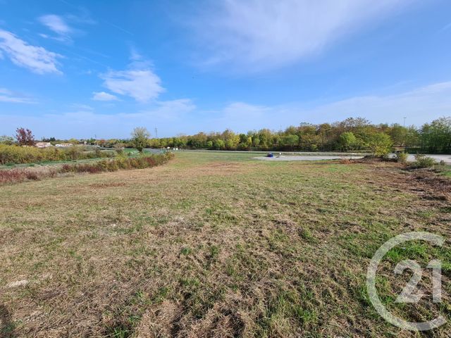 terrain à vendre - 1330.0 m2 - ALBI - 81 - MIDI-PYRENEES - Century 21 Plein Sud