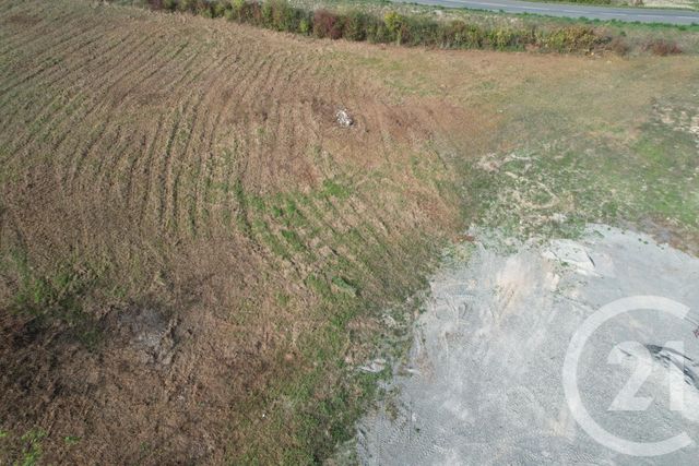 terrain à vendre - 1614.0 m2 - ALBI - 81 - MIDI-PYRENEES - Century 21 Plein Sud