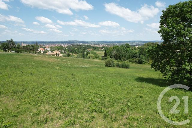 terrain à vendre - 2502.0 m2 - ALBI - 81 - MIDI-PYRENEES - Century 21 Plein Sud
