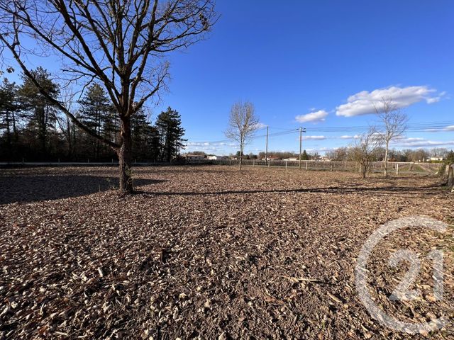 terrain à vendre - 1025.0 m2 - LAGRAVE - 81 - MIDI-PYRENEES - Century 21 Plein Sud