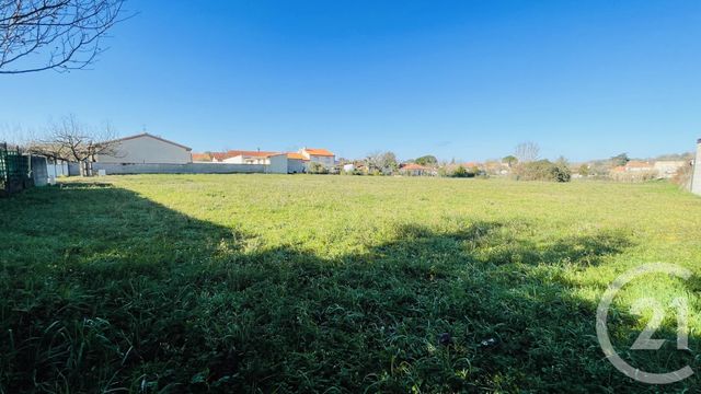 terrain à vendre - 806.0 m2 - ALBI - 81 - MIDI-PYRENEES - Century 21 Plein Sud